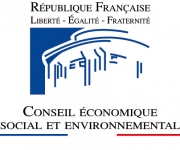 CONSEIL ECONOMIQUE SOCIAL ET ENVIRONNEMENTAL
